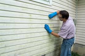 Affordable Siding Repair and Maintenance Services in Georgiana, AL